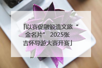 以赛促融锻造文旅“金名片” 2025张吉怀导游大赛开赛