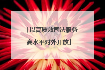 以高质效司法服务高水平对外开放
