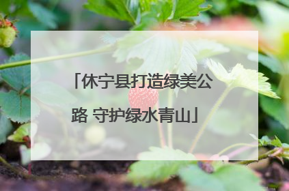 休宁县打造绿美公路 守护绿水青山
