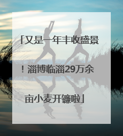 又是一年丰收盛景！淄博临淄29万余亩小麦开镰啦