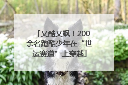 又酷又飒！200余名跑酷少年在“世运赛道”上穿越