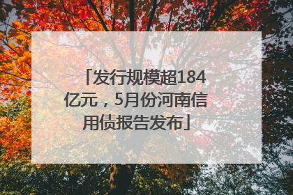 发行规模超184亿元，5月份河南信用债报告发布