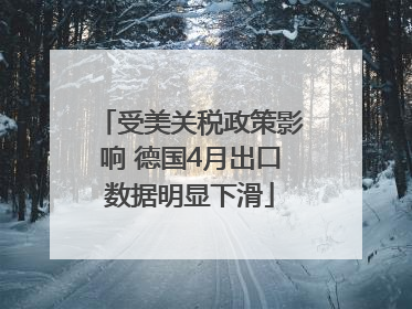受美关税政策影响 德国4月出口数据明显下滑