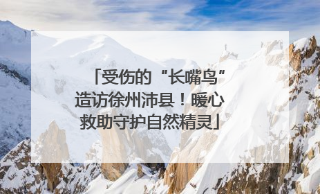 受伤的“长嘴鸟”造访徐州沛县！暖心救助守护自然精灵