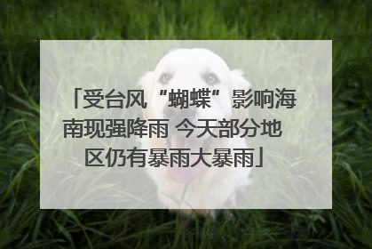 受台风“蝴蝶”影响海南现强降雨 今天部分地区仍有暴雨大暴雨