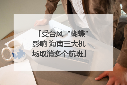 受台风“蝴蝶”影响 海南三大机场取消多个航班