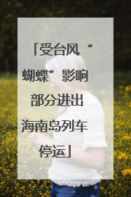 受台风“蝴蝶”影响 部分进出海南岛列车停运