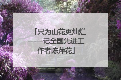 只为山花更灿烂——记全国先进工作者陈萍花