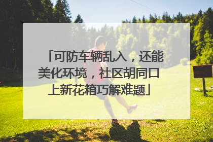 可防车辆乱入，还能美化环境，社区胡同口上新花箱巧解难题