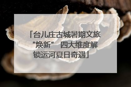 台儿庄古城暑期文旅“焕新” 四大维度解锁运河夏日奇遇