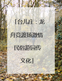 台儿庄：龙舟竞渡扬激情 民俗游园传文化