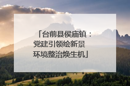 台前县侯庙镇：党建引领绘新景 环境整治焕生机