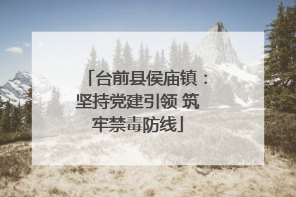 台前县侯庙镇：坚持党建引领 筑牢禁毒防线