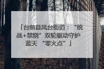 台前县凤台街道：“统战+禁烧”双轮驱动守护蓝天 “零火点”