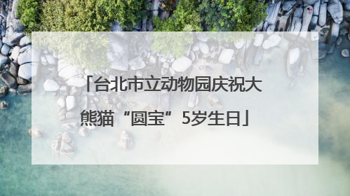 台北市立动物园庆祝大熊猫“圆宝”5岁生日