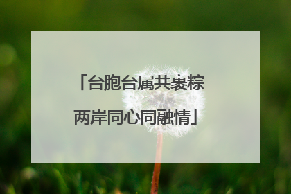 台胞台属共裹粽 两岸同心同融情