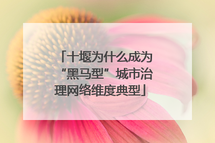 十堰为什么成为“黑马型”城市治理网络维度典型