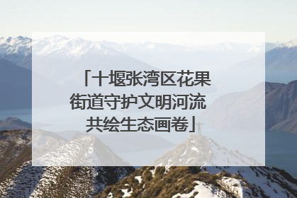 十堰张湾区花果街道守护文明河流 共绘生态画卷