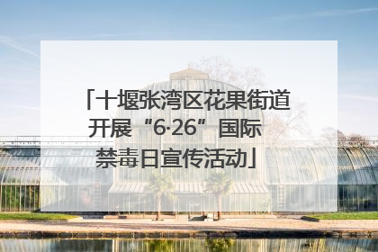 十堰张湾区花果街道开展“6·26”国际禁毒日宣传活动
