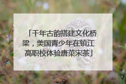 千年古韵搭建文化桥梁，美国青少年在镇江高职校体验唐菓宋茶