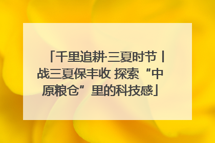 千里追耕·三夏时节丨战三夏保丰收 探索“中原粮仓”里的科技感
