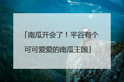 南瓜开会了！平谷有个可可爱爱的南瓜王国