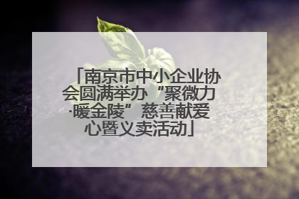 南京市中小企业协会圆满举办“聚微力·暖金陵”慈善献爱心暨义卖活动