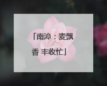 南漳：麦飘香 丰收忙