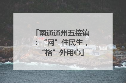 南通通州五接镇：“网”住民生，“格”外用心