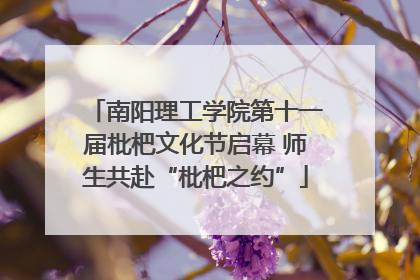 南阳理工学院第十一届枇杷文化节启幕 师生共赴“枇杷之约”