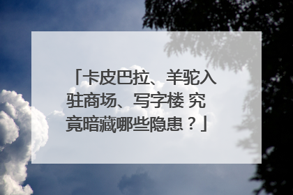 卡皮巴拉、羊驼入驻商场、写字楼 究竟暗藏哪些隐患？