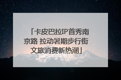 卡皮巴拉IP首秀南京路 拉动暑期步行街文旅消费新热潮