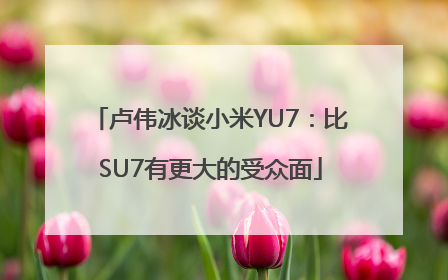 卢伟冰谈小米YU7：比SU7有更大的受众面