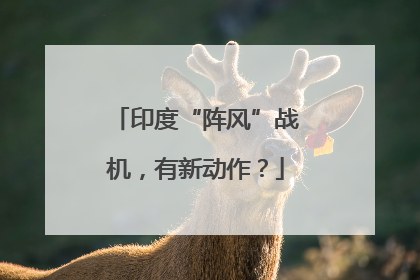 印度“阵风”战机，有新动作？