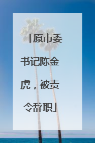 原市委书记陈金虎，被责令辞职