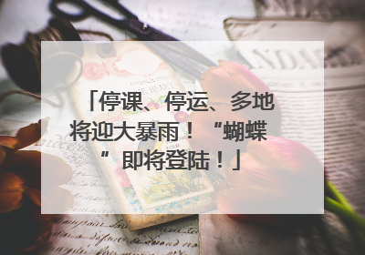 停课、停运、多地将迎大暴雨！“蝴蝶”即将登陆！