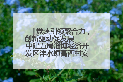 党建引领聚合力，创新驱动促发展——中建五局淄博经济开发区沣水镇高西村安置项目建设纪实
