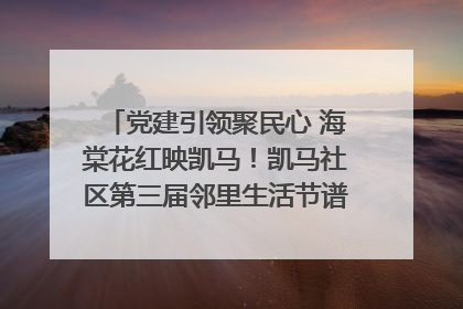 党建引领聚民心 海棠花红映凯马！凯马社区第三届邻里生活节谱写幸福新篇章