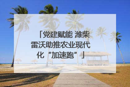 党建赋能 潍柴雷沃助推农业现代化“加速跑”