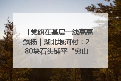党旗在基层一线高高飘扬｜湖北堰河村：280块石头铺平“穷山沟”的致富振兴路