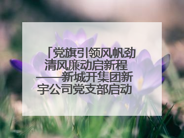党旗引领风帆劲 清风廉动启新程——新城开集团新宇公司党支部启动“清风廉动党旗红”系列活动