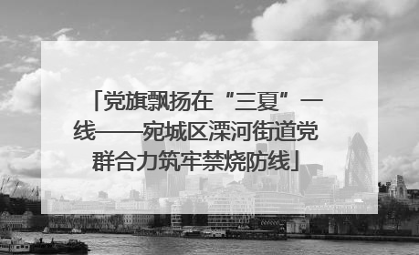 党旗飘扬在“三夏”一线——宛城区溧河街道党群合力筑牢禁烧防线