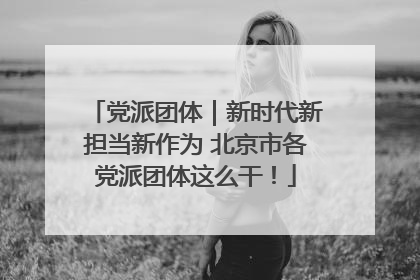 党派团体｜新时代新担当新作为 北京市各党派团体这么干！