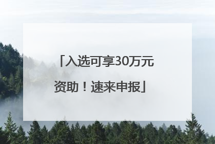 入选可享30万元资助！速来申报
