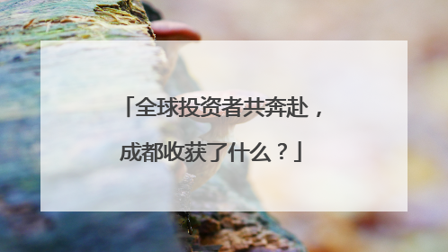 全球投资者共奔赴，成都收获了什么？