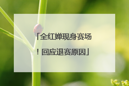 全红婵现身赛场！回应退赛原因