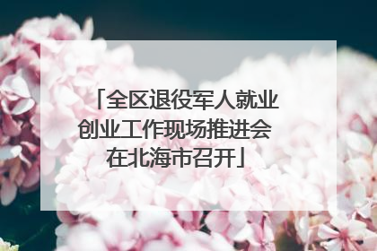 全区退役军人就业创业工作现场推进会在北海市召开