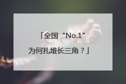 全国“No.1”为何扎堆长三角？