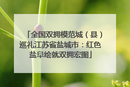 全国双拥模范城（县）巡礼江苏省盐城市：红色盐阜绘就双拥宏图