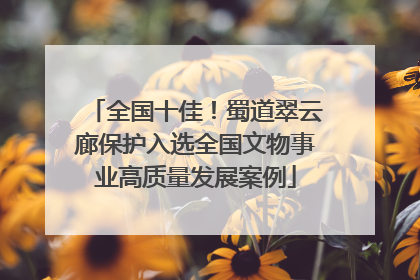全国十佳！蜀道翠云廊保护入选全国文物事业高质量发展案例